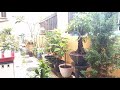 RELAXATION SOUNDS Rain at Mini Garden