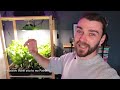All Is Not Well | Chilli Pepper Update! | Trying Out Hydroponics