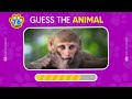 Guess The Animal in 3 Seconds | 100 Animals Quiz