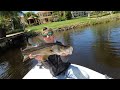 NEW NLBN BAIT WORTH IT?? (2 days of fishing) #fish #snook #fishing #flordia #ocean #boat