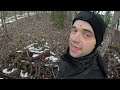 Removing trees & stumps near a powerline