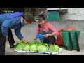 Harvesting Cabbage Goes To Market Sell - Cook cabbage rolls with meat | Phương Free Bushcraft