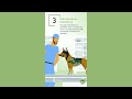 How To Be A Veterinarian