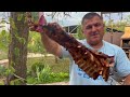 Cooking a Delicious Dinner - A Win-Win Option for Any Occasion! Shashlik / Meat / Recipes