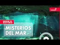 Misterios del mar | Noche de Misterio