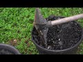 Hand Splitting Stone and Making Charcoal Biochar for my Off Grid Homestead