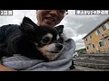 車中泊でゆく道の駅巡りの旅！岡山県全17駅完全制覇