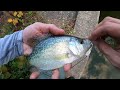 Fall Bass and Crappie Fishing