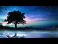 Relaxing Sleep Music + Night Nature Sounds 🎵 Soft Crickets, Calming Piano