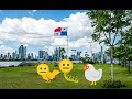 Animal Madness S1E21: A Day in Panama 🇵🇦