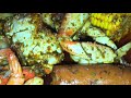 How to Make a Oven Baked Seafood Boil THE RIGHT WAY