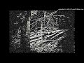 the trees are screaming (Dark Ambient / Experimental / Neofolk)