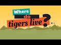Tiger Facts for Kids | Classroom Learning Video