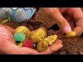 Finding Hidden Treasures 100 year : A Guide for Mining Gold with hunter Gold