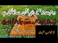 حقیقی محبت کونسی ہے || لاجواب محبت بے مثال محبت کس سے ہوتی ہے؟؟||motivational video||میم منیبہ فاطمہ