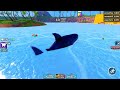 Chase Becomes the BIGGEST SHARK in Roblox!