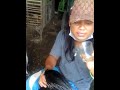 Tutorial pengambilan sperma pada ayam jantan