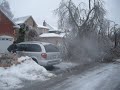 Complete devastation to ash trees severe ice storm