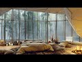 Misty Spring Dawn in Forest Bedroom with Fireplace and Relaxing Jazz | Piano Music for Study, Sleep