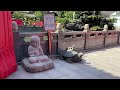 【山水百景圖國內版VLog 22.2】 光孝寺—「未有羊城，先有光孝 （三）」 10.16.2023｜六祖慧能｜廣州｜越秀區｜中國佛教｜建築特色｜瘞髮塔｜六祖堂百年古蹟｜苦堤樹｜訶子樹｜趙樸初4K拍攝