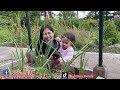 AKHIRNYA PANEN BUAH APRIKOT PERDANA TAHUN INI || KEADAAN KEBUN SAYUR SETELAH DI TINGGAL BERBULAN2