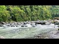 River Flow in Rocky Forest. Relaxing Water, Sleep Sounds. River Sounds for Calm, Meditation.