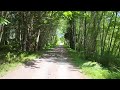 trans canada trail. the old lakes/swamps of cowichan river at 80kmh part 2