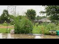 May Rain Storm Sounds For Relaxation