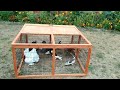 Build Your Own Easy To Clean Large Pigeons Loft