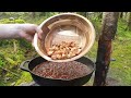 Lemon Crunchy Chicken cooked in the middle of the forest. ASMR cooking. NO TALK