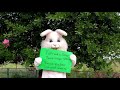 Easter Bunny's COVID-19 Message!