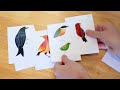 How to paint a collection of tropical birds in Procreate 🦜 Procreate tips and tricks for beginners