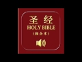和合本圣经 • 箴言 | Chinese Union Version Bible • Proverbs
