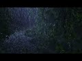 Listen & Sleep Immediately with Heavy Downpour Rain & Massive Thunder Sounds in Rainforest at Night