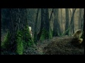 Atrishia - Forest