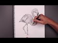 How To Draw a Flamingo | Sketch Tutorial