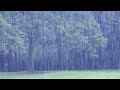 Ultra Relaxing Piano Music with Rain Sounds For Stress Relief, Study - Relaxing Peaceful Piano Music