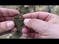 Beach Metal Detecting | Nokta Legend