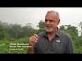 Lumina Gold, Ecuador's Largest Primary Gold Deposit (Site Visit)