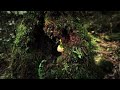Sigur Rós - Dauðalogn [Official Music Video]