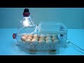 How to make a quick incubator from a bottle at home | كيف تصنع حاضنة سريعة من زجاجة في المنزل