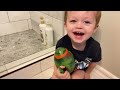 Three Day Potty Training Method