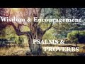 Psalm one and Proverbs one