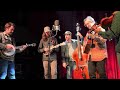 Mighty Poplar - North Country Blues (Bob Dylan) Live at Ardmore Music Hall - 4K