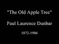 The Old Apple Tree