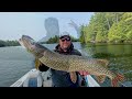 Muskoka Pike Fishing