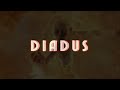 DIADUS - NCS Fire Music Mix | 