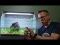 How to WAKE UP with Aquarium Algae (4K) Part One