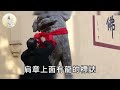 兩岸結局竟是這樣？13歲男孩通靈神界，竟看到台灣10年後恐怖一幕！說了一話全球震動！|聽禪語 #運勢 #風水 #佛教 #生肖 #佛語禪心