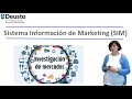 Sistema Información de Marketing (SIM)